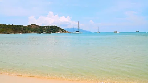 Tropical beach Stock Footage 37966245