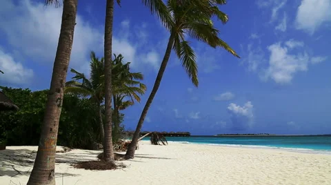 Tropical beach  Stock Footage 42114991