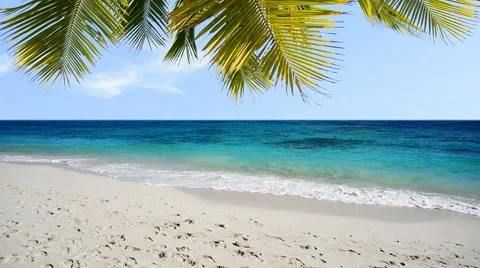 Tropical beach Video stock 43171547