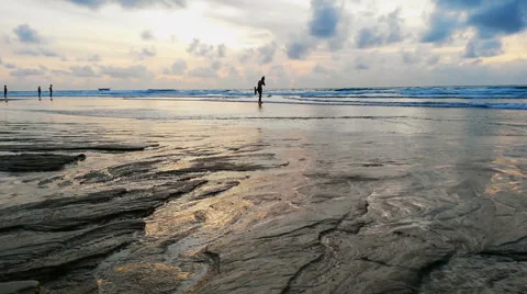 Tropical Beach Видео 54601720