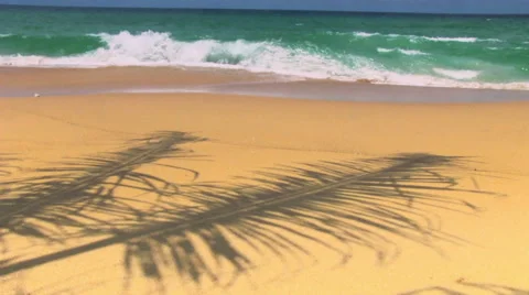 Tropical Beach Видео 58911036