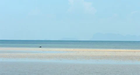 Tropical Beach Stock Footage 61157593