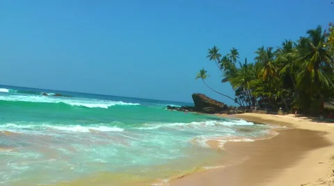 Tropical Beach 스톡 동영상 61753512