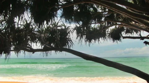 Tropical Beach 스톡 동영상 68506068