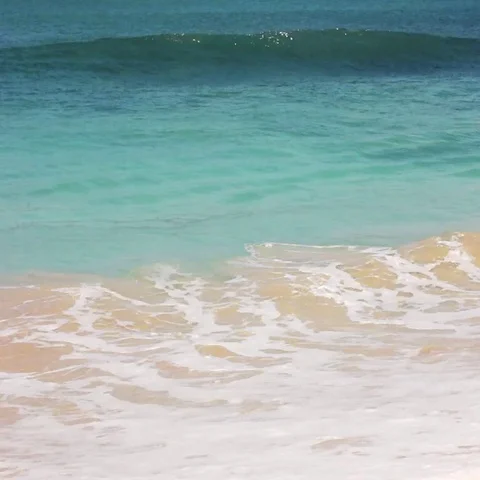 Tropical beach 스톡 동영상 69703160