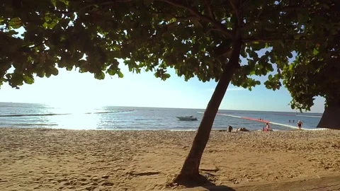 Tropical Beach Stockbeeldmateriaal 71220213