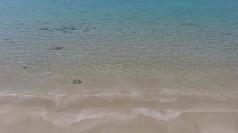 Tropical beach Stock Footage 82292840