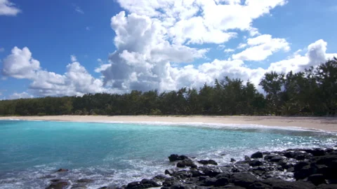 Tropical Beach Video stock 138453897