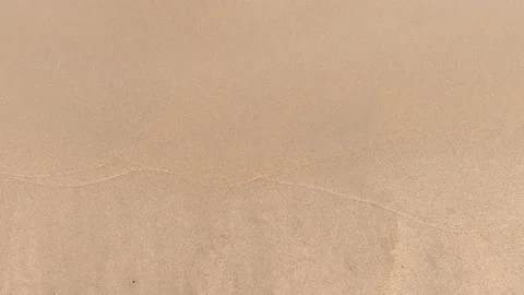 Tropical beach. Video stock 155443646