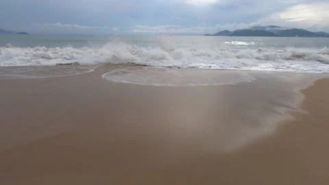 Tropical beach. Video stock 155443811