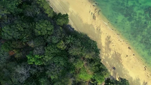 Tropical beach Stock Footage 231135174