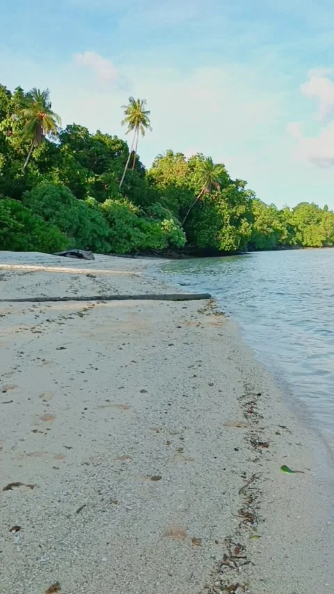 Tropical beach Stock Footage 240631590