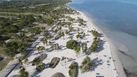 Tropical Beach Stock Footage 241946942