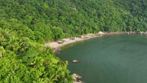 Tropical beach Stock Footage 264333410