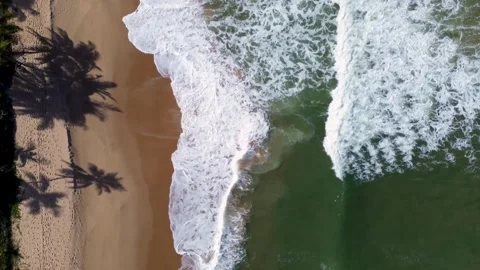 Tropical Beach Video stock 323151122