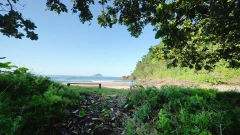 Tropical Beach Framed by Green Foliage with Island View, Calm Sea Video stock 342756151