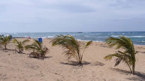 Tropical beach front 2 Stock Footage 26157599