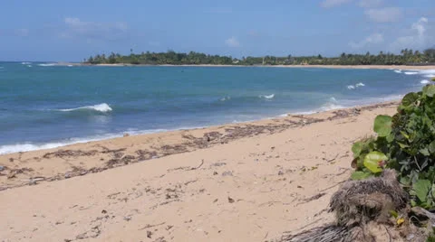 Tropical beach front Stock Footage 26159041