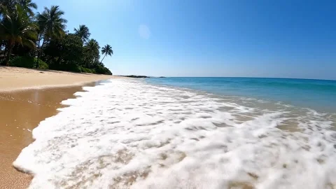 Tropical Beach with Gentle Waves on Sandy Shore Stock Footage 314805467