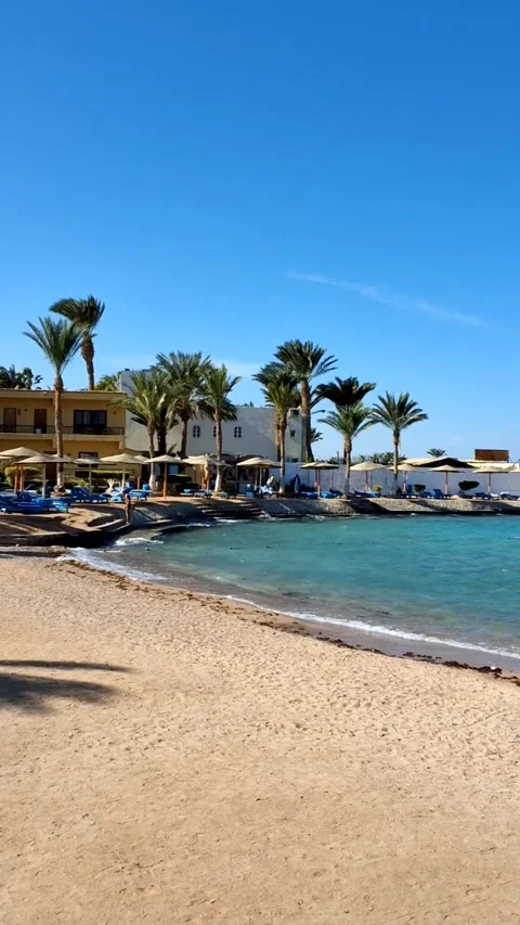 A tropical beach in Hurghada Stock Footage 335959800