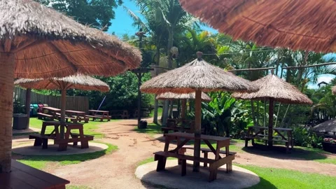 Tropical beach hut Stock Footage 321471304