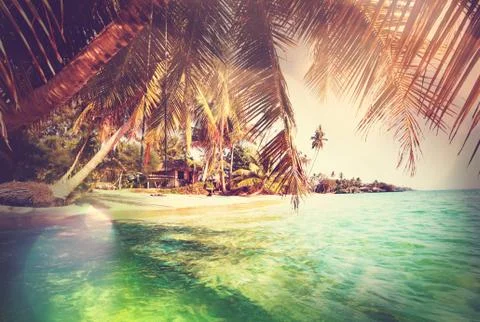 Tropical beach Stock Illustration