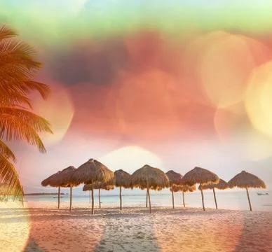 Tropical beach Stock Illustration