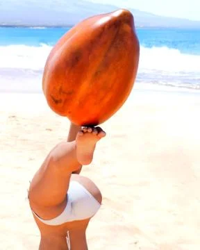 Tropical beach Stock Illustration