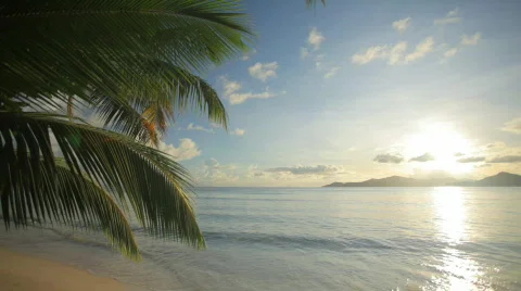 Tropical beach just before sunset Stock Footage 462437