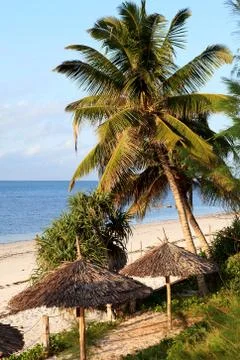 Tropical beach in kenya Stock Photos