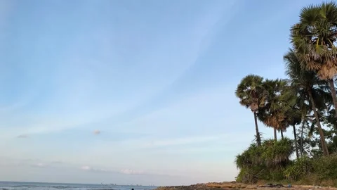 Tropical Beach Landscape with Palm Trees and Blue Sky Stock Footage 341505016