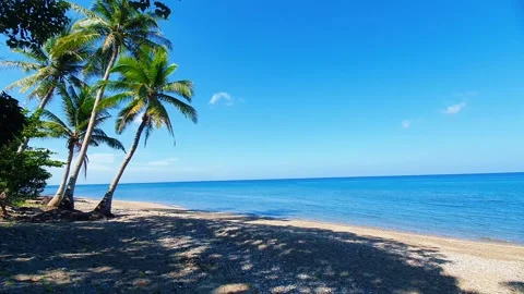 Tropical beach with leaning palm trees casting shadows on sandy shore and cal Stock Footage 333309346