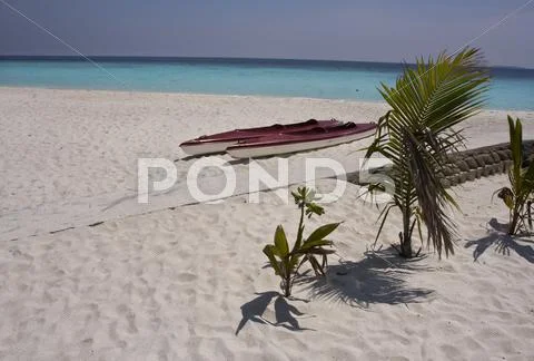Tropical beach on Maldives Islands Stock Photos