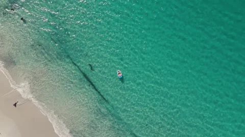 Tropical Beach With Man In Inflatable Ring Floating On Clear Blue Water Stock Footage 317786686