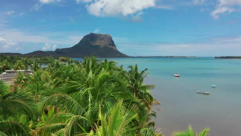 Tropical beach in Mauritius. Beach with palm trees and blue transparent ocean Video stock 167078153