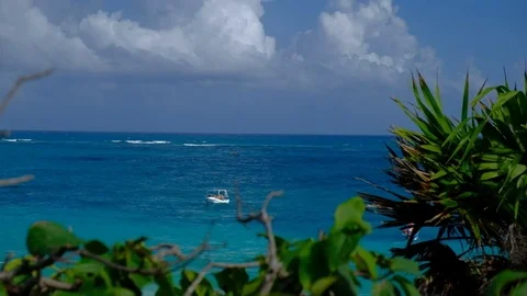 Tropical beach in Mexican Caribbean - Tulum Video stock 105144853