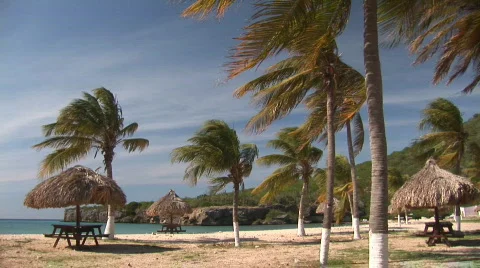 Tropical beach with a nice breeze Stock Footage 93141