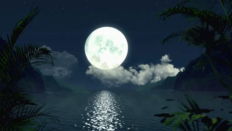 Tropical beach at night moon landscape looped motion background vj loop Stock Footage