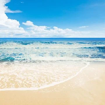 Tropical beach ocean Foto stock