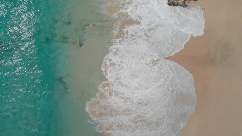Tropical beach ocean wave from above Stock Footage