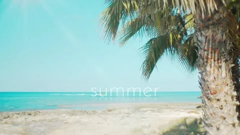 Tropical beach, palm tree, and clear ocean with the animated word. Stock Footage 320041111