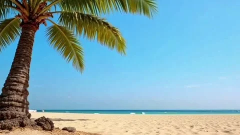 Tropical Beach with Palm Tree and Beautiful Turquoise Ocean Background Video stock 336706543