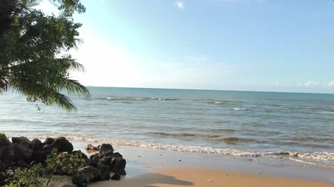Tropical Beach with Palm Tree and Gentle Ocean Waves Stock Footage 340216224