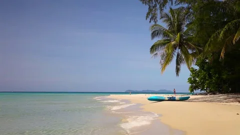 Tropical beach with palm tree on background sea water and blue sky Stock Footage 73119749