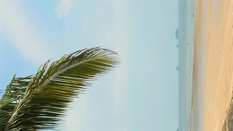 Tropical beach with palm tree, clear blue sky, and calm sea in Stock Footage 284209702