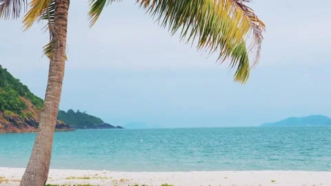 Tropical beach with palm tree, turquoise sea, and distant green hills Stock-Footage 282082405