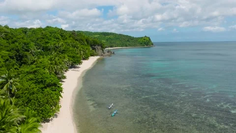 Tropical beach with palm trees and turquoise waters. Santa Fe, Tablas, Romblon Stock Footage 311550524