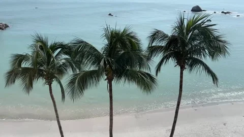Tropical beach with palm trees and turquoise water in Penang Stock Footage 337172461