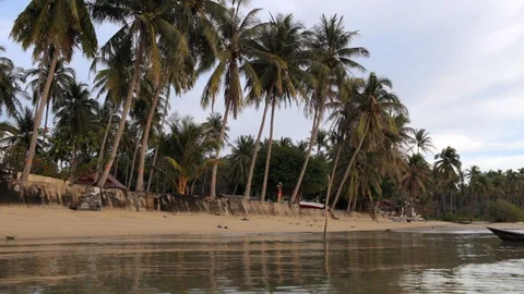 Tropical beach with palm trees in the evening Video stock 88285671