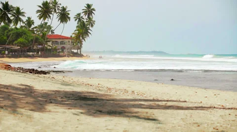 Tropical beach with palm trees Видео 32349214